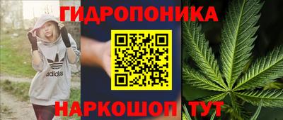 а пвп мука Можга